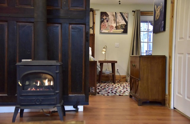 Steampunk Art Studio -Carriage House: Firepit, huge yard, walkable, Near LODO