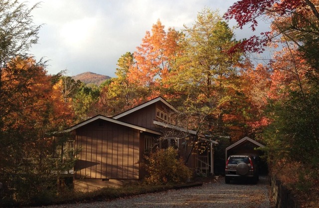 Stepp Away Mountain Laurel Cabin Near Brasstown Bald; No steep roads & no stairs