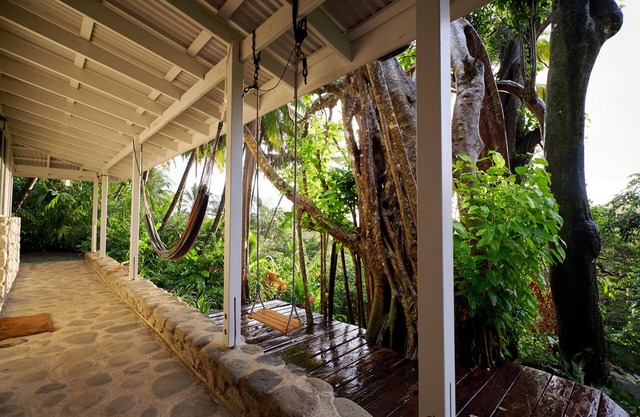 Stone cottage around a Banyan tree