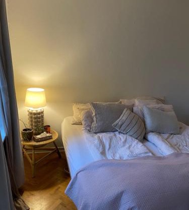 Stort værelse udlejes i herskabslejlighed midt i Odense by