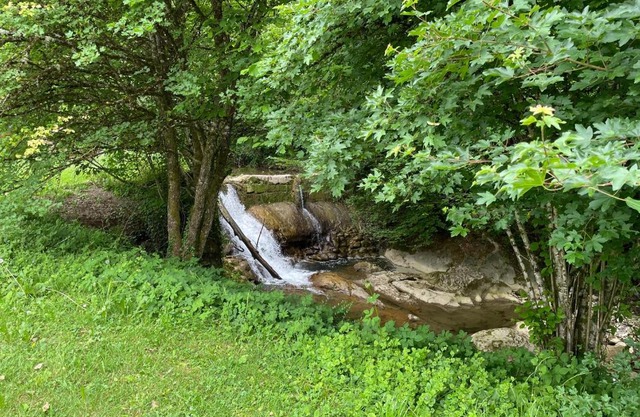 Studio avec foret, jardin et une cascade - Lac d'Annecy