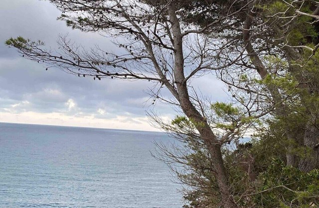 Studio LA FRANQUI Le petit paradis de vacances - Climatisé