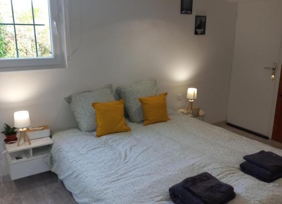 Studio : le petit comtois