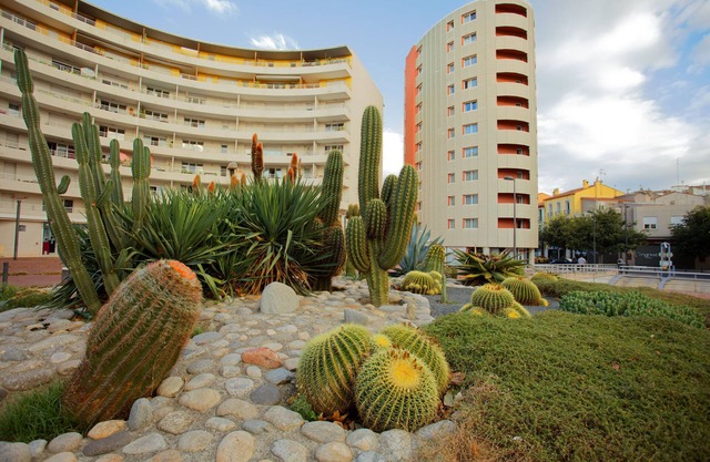 Studio Lumineux et Abordable avec Balcon + Parking