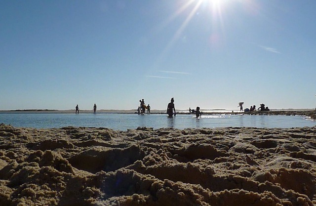 Studio with small garden 15 minutes from the ocean > Discount from 7 nights
