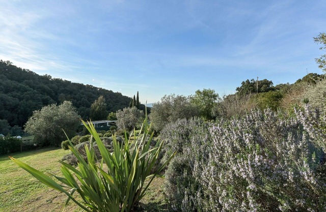 Stunning private villa with private pool, WIFI, patio, pets allowed, panoramic view and parking
