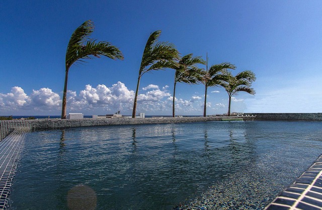 Stylish studio on the 5th Ave in Playa del Carmen, welcome!