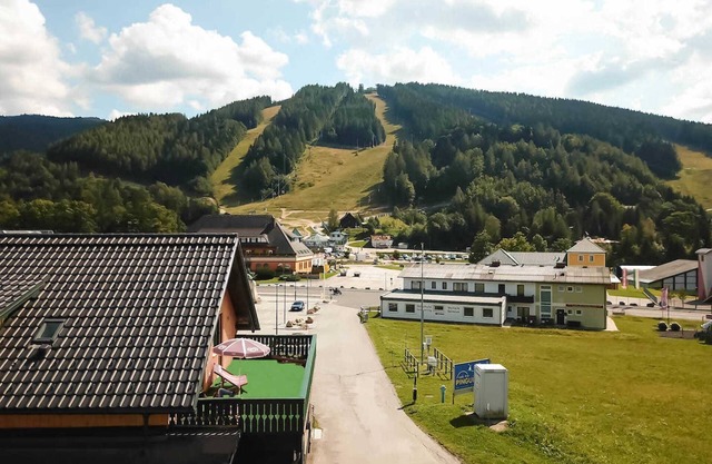 Styrian apartment with large balcony - Steirer Apartment