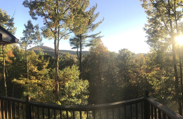 Suches Life Mountain House