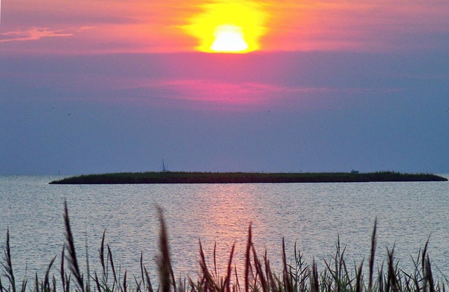 Sugar Creek Condo on the Sound!