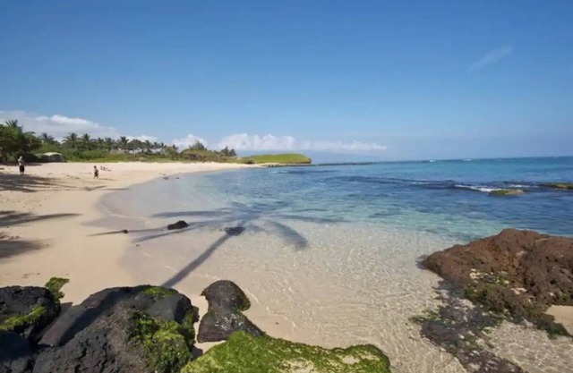 Suite on North Shore property. Walk to beach & town!