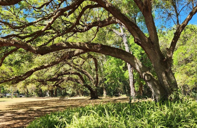SuiteHome among the Oaks.