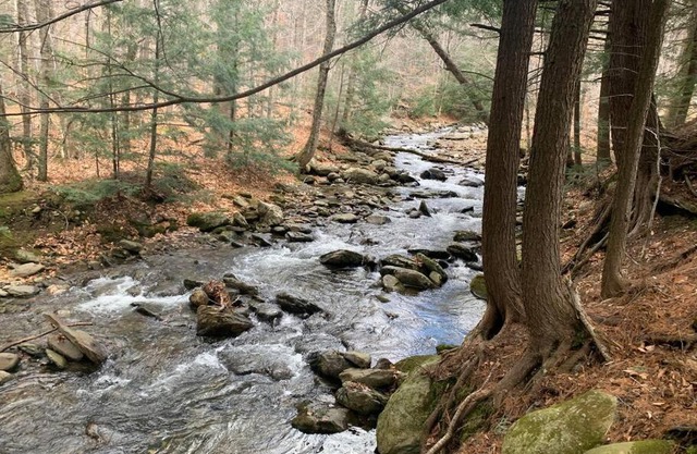 Summer in Vermont at Smugglers Notch - 20 minutes from Stowe