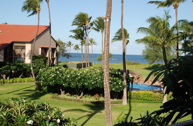 Summer Sale! Oceanfront/Ocean view condo in S. Maui,Free A/C,Wifi,Parking,Pool!