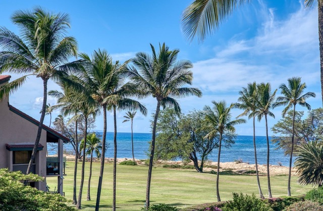 Sunny and Soothing Oceanfront Vistas