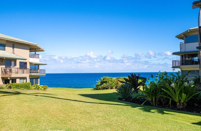 Sunny and Stylish, renovated gem in Kapalua