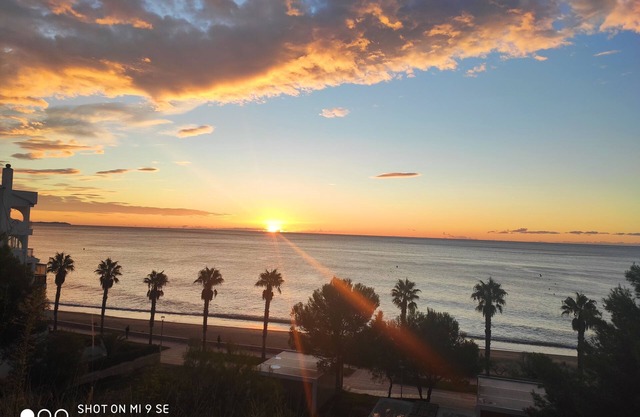 Sunrise Zebra Studio, with sea and garden views