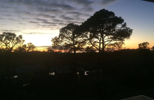 Sunsets, Canal Front, FISH, FISH, FISH! Suwannee Cove - Unit 207, Boat Slip 23
