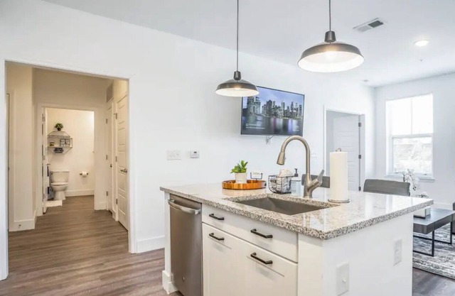 Swanky Atlanta Apartment