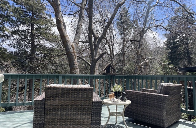 Sweet Bear Cabin Mountain Getaway w/King Bed and A/C