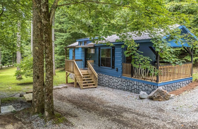 Sweet mountain cabin with covered deck, firepit & hammock