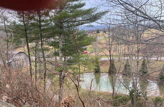 Swift Hollow Memories