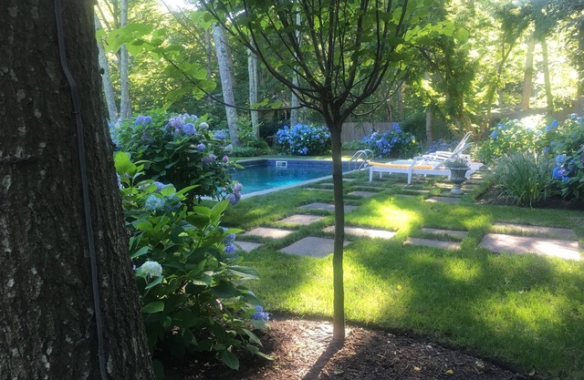 Swim in a sea of hydrangeas on this peaceful, bucolic property.