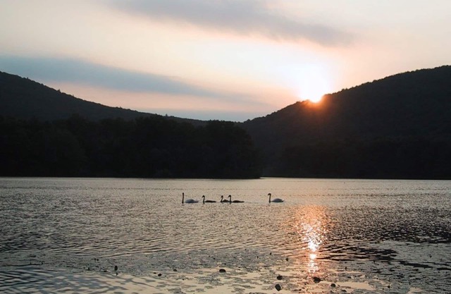 Swim, kayak, hike, fish, ski and enjoy the countryside in this rustic cabin