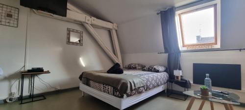 T1 rénové 24m2 Cosy Confort !