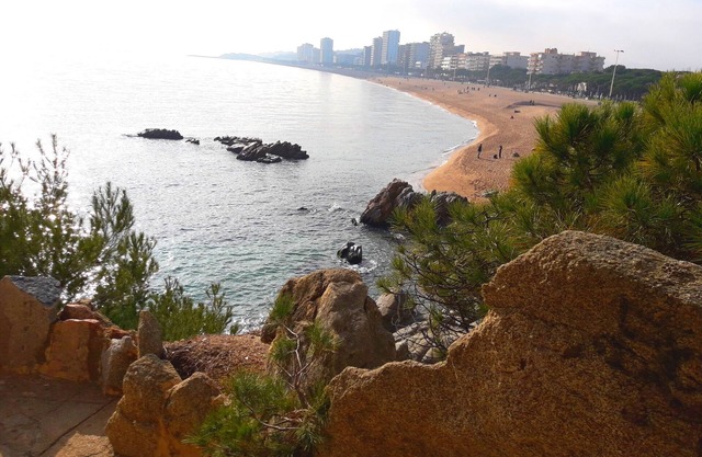 T3 PLATJA D'ARO QUIET AREA IN THE PINES NEAR THE BEACHES
