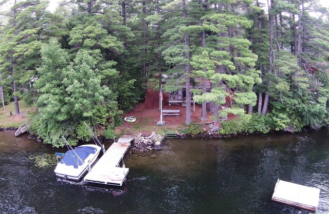 Tall Pines On Loon Lake