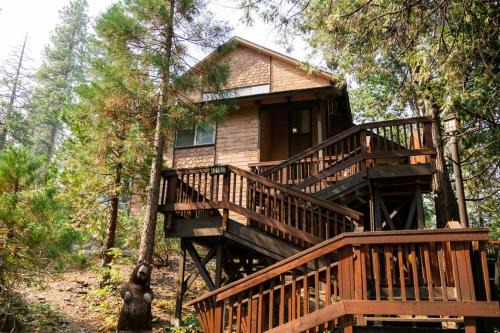 Tallwood Cabin A Treetop Mountain Retreat