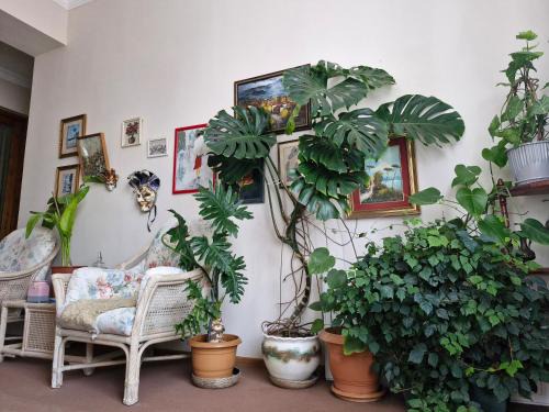 Tamari Guest House