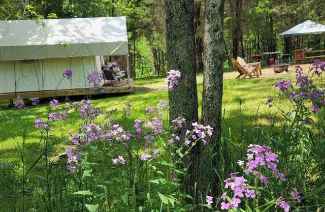 Tentrr Signature Site - Evensong Farm - Wineberry - Coleman Outfitted Site