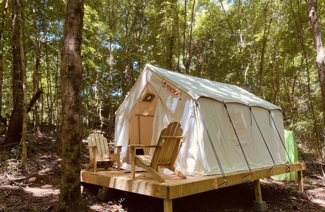 Tentrr Signature Site - Crestview Campsite Three