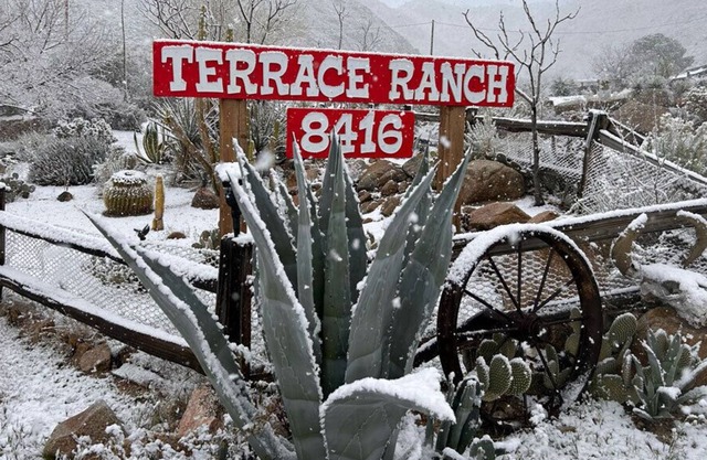 Terrace Ranch/The View