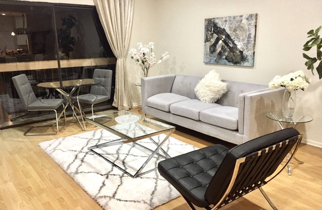Terrific Apartment for long-term stay professionals - our most popular unit.