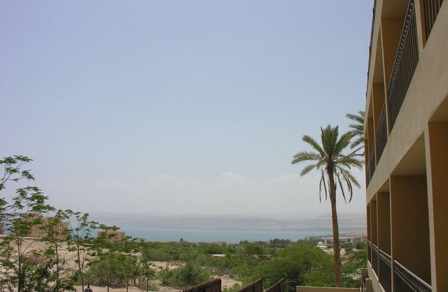 Thara Dead Sea