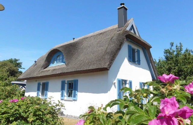 Thatched cottage crane