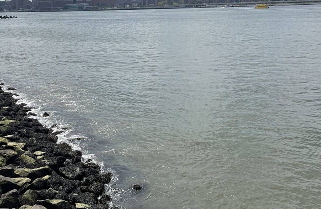 The Best Views In Brooklyn
