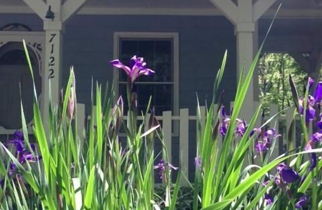 The Blue Cottage located in the woods on Lookout Mountain in Rising Fawn GA