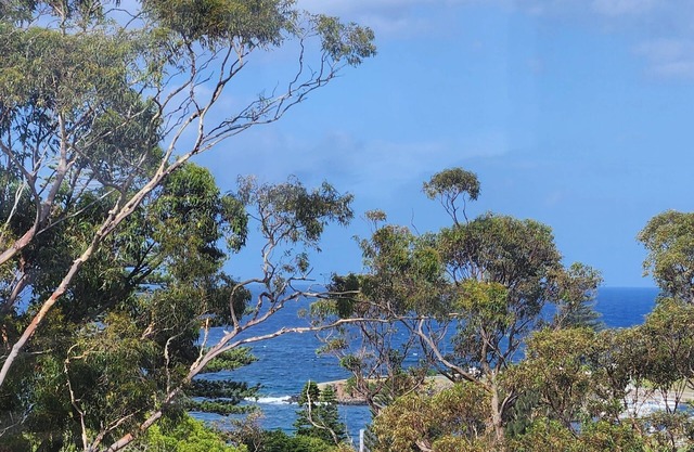 The Cabbage Palm Kiama. 5 min walk to everwhere. Location Location Location!