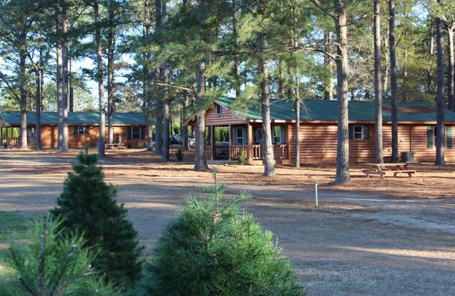 The Cabins At Fish River Christmas Trees - Cabin D