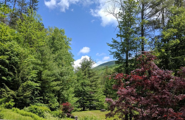 The Cranberry House in the Catskills
