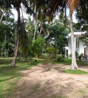 The Escape, Minuwangoda