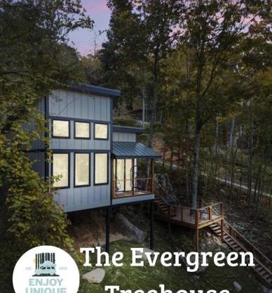 The Evergreen Treehouse with Winter Views