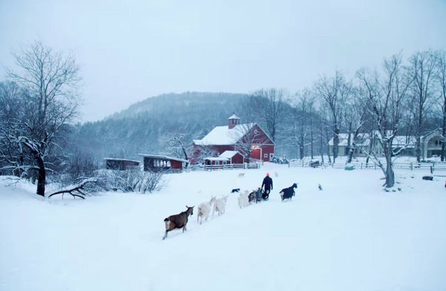 the farmhouse at Big Picture Farm