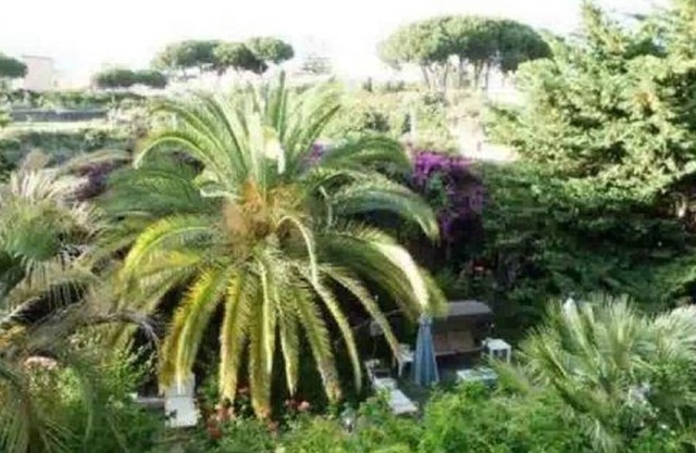 The Garden of Villa Anna, View Room Capri