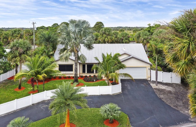 The golden palm by the river