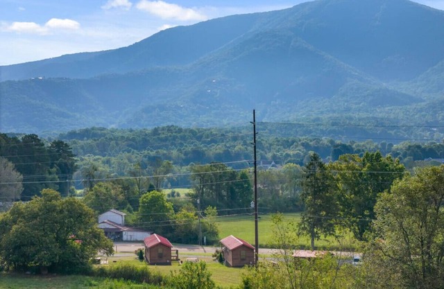 The home place~Tiny Home